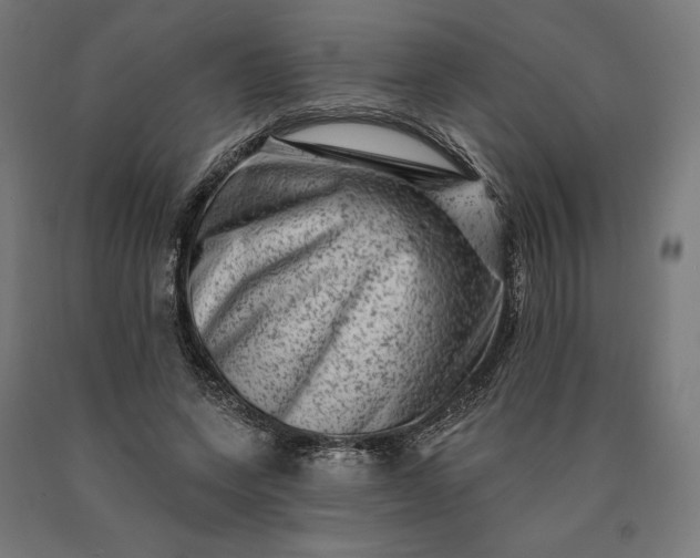 X0000090610543200707311224