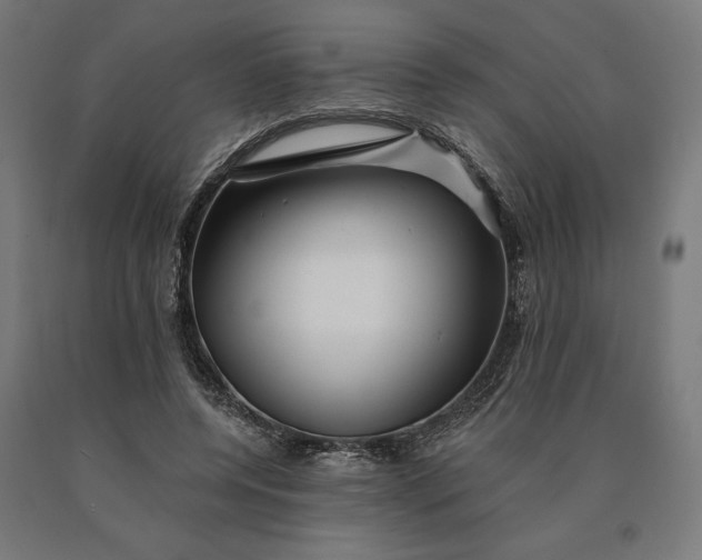 X0000090610544200707311224