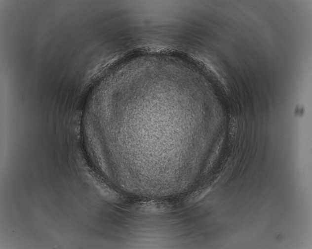 X0000090610545200707311224