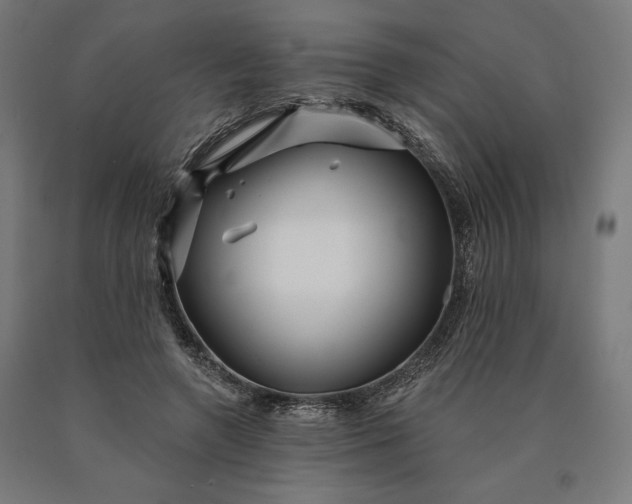 X0000090610546200707311224