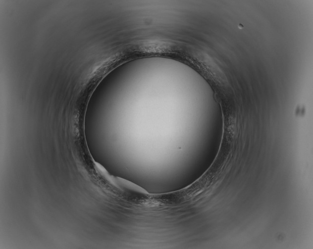 X0000090610547200707311224