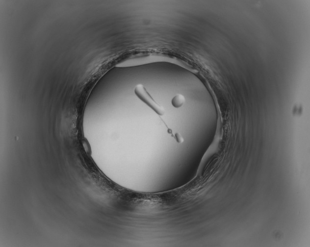 X0000090610548200707311224