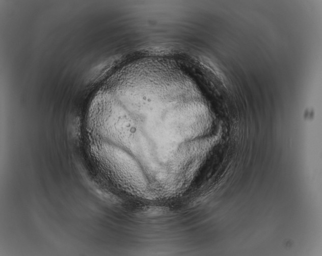 X0000090610549200707311224