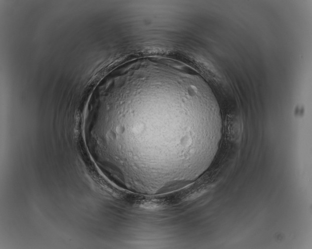 X0000090610550200707311224