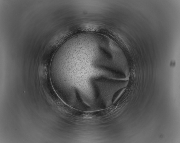 X0000090610551200707311224