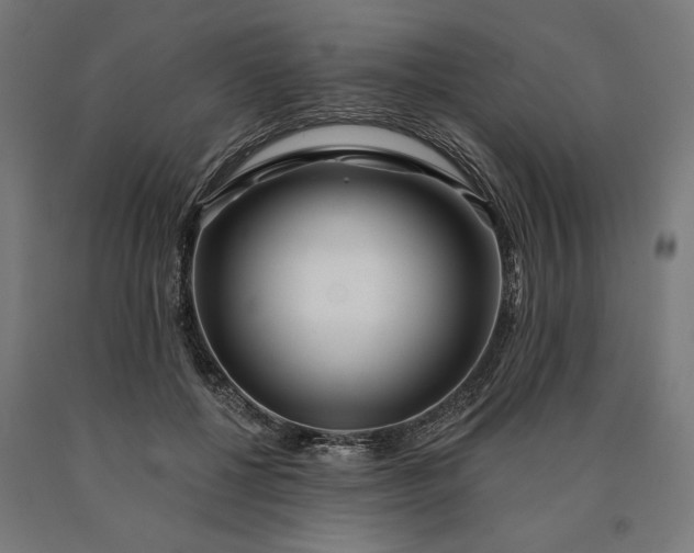 X0000090610552200707311224