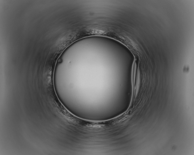 X0000090610553200707311224