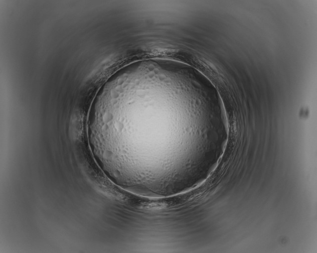 X0000090610554200707311224