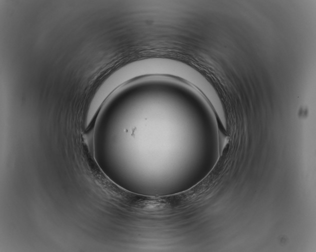 X0000090610555200707311224