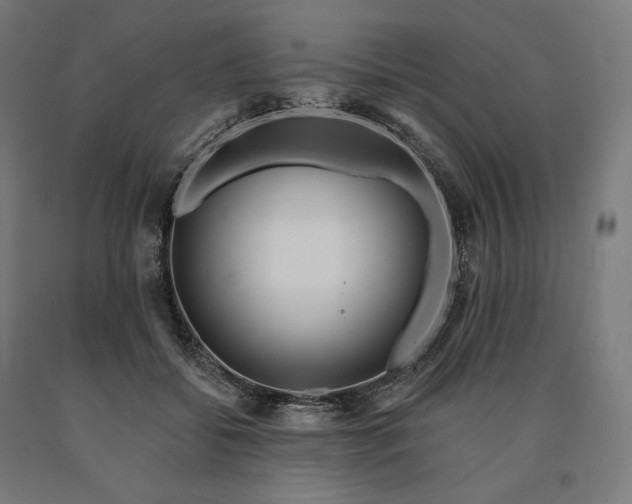 X0000090610556200707311224