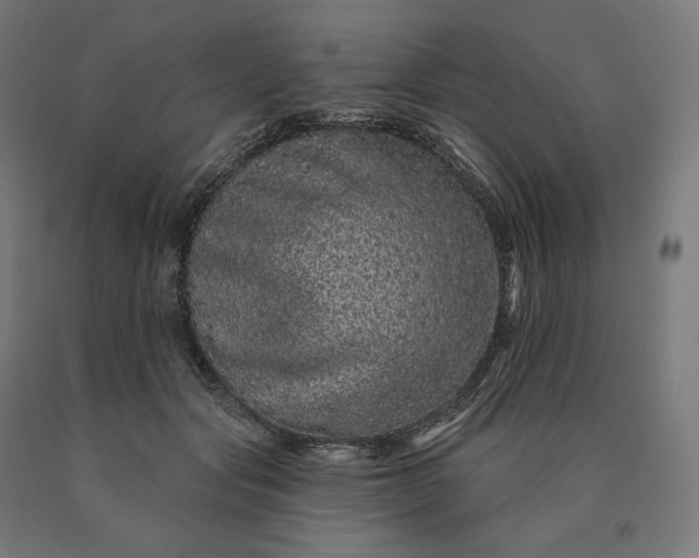 X0000090610557200707311224