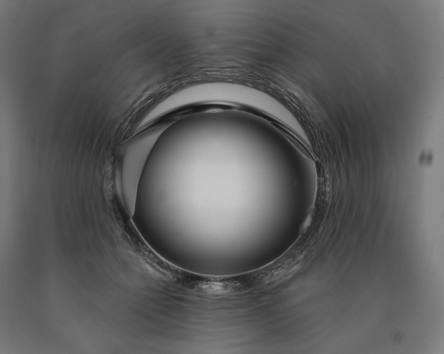 X0000090610558200707311224