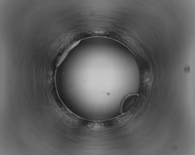 X0000090610559200707311224