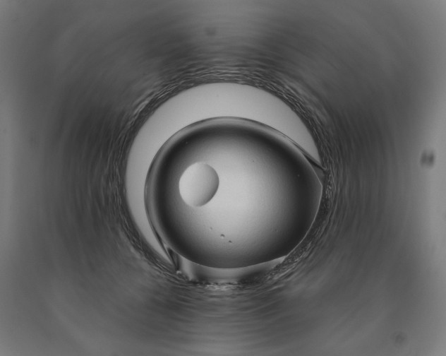 X0000090610560200707311224