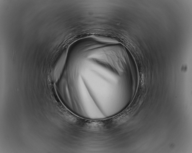 X0000090610561200707311224