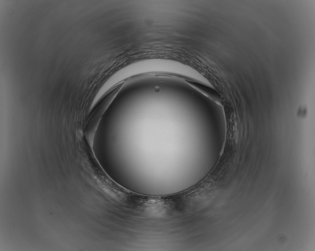 X0000090610562200707311224