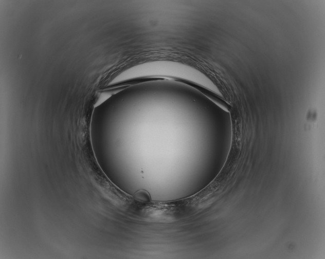 X0000090610563200707311224