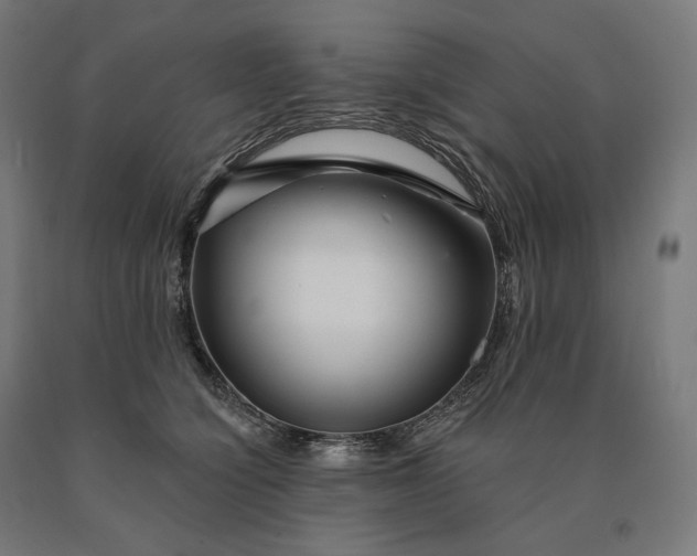 X0000090610564200707311224