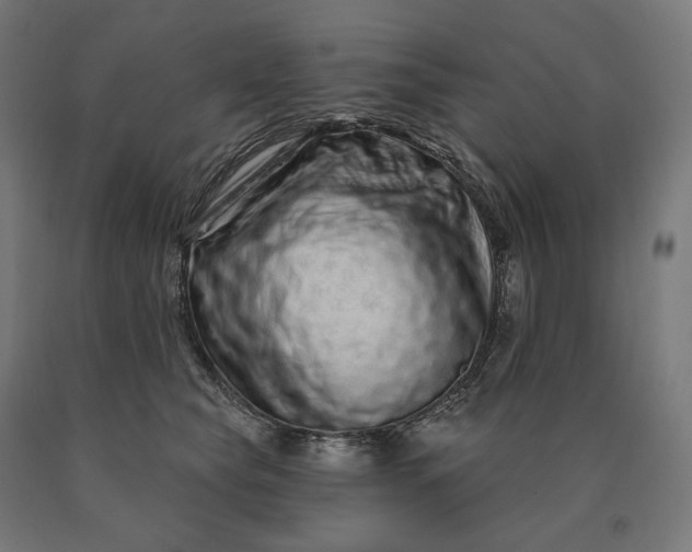 X0000090610565200707311224