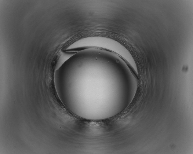 X0000090610566200707311224