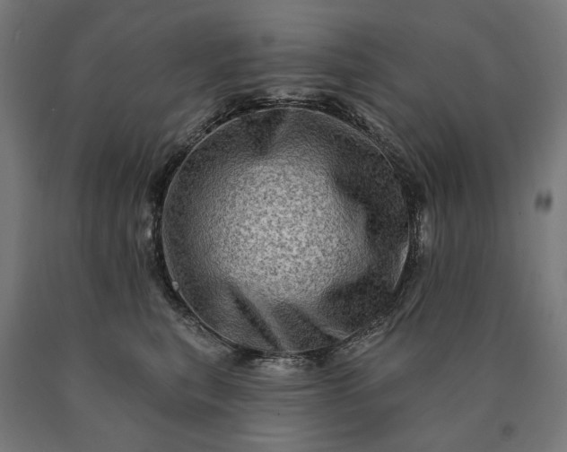 X0000090610567200707311224