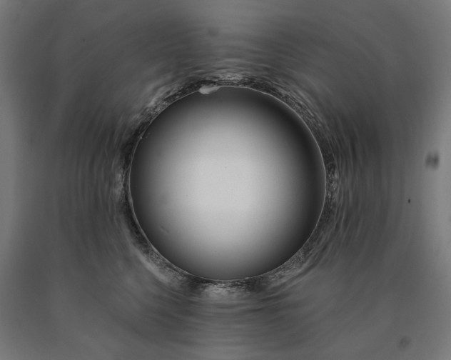 X0000090610568200707311224