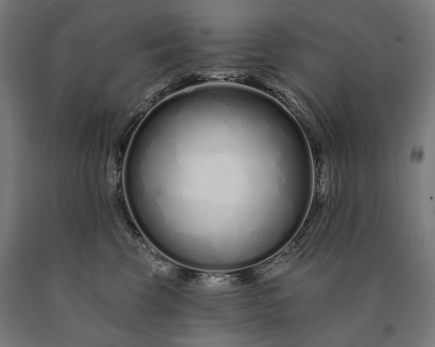 X0000090610569200707311225