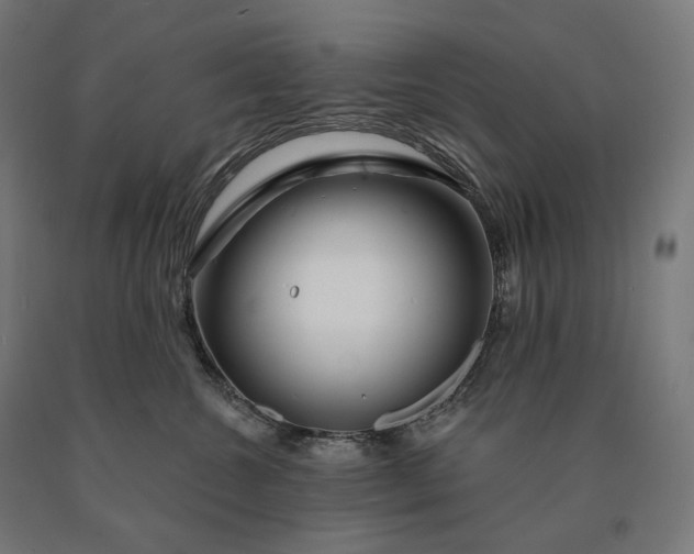 X0000090610572200707311225