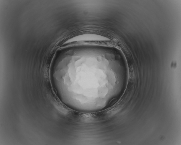 X0000090610573200707311225