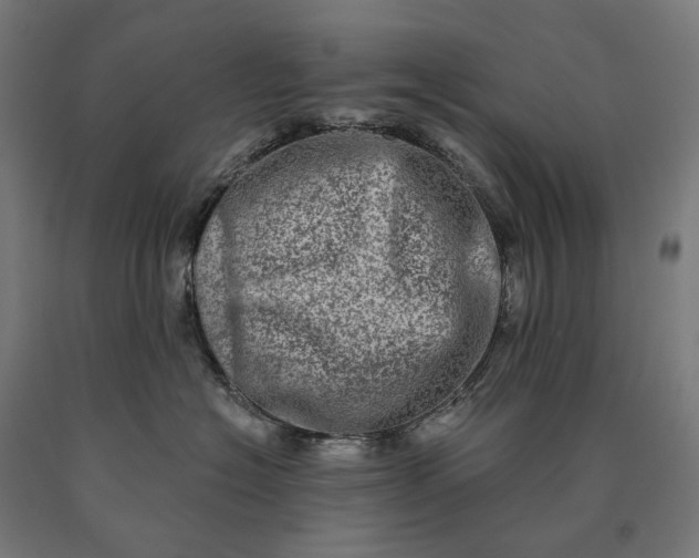 X0000090610574200707311225