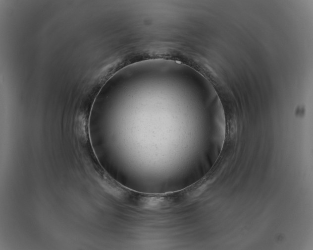 X0000090610575200707311225