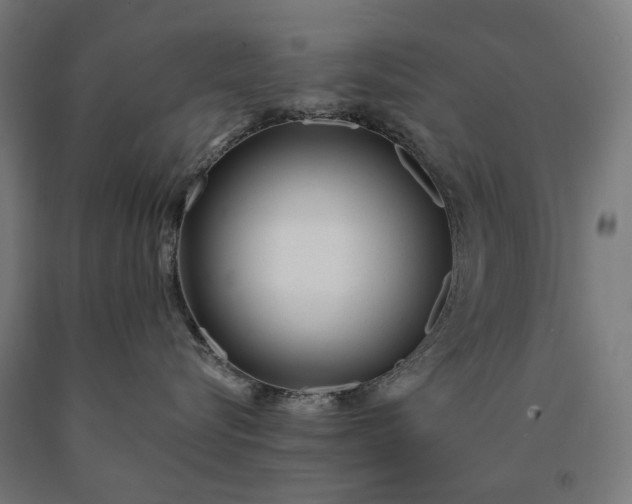 X0000090610576200707311225