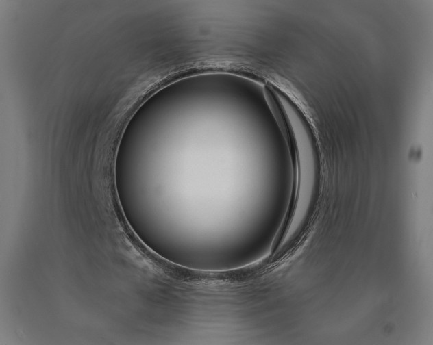 X0000090610577200707311224