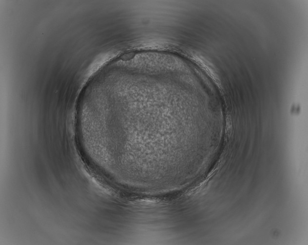 X0000090610578200707311224