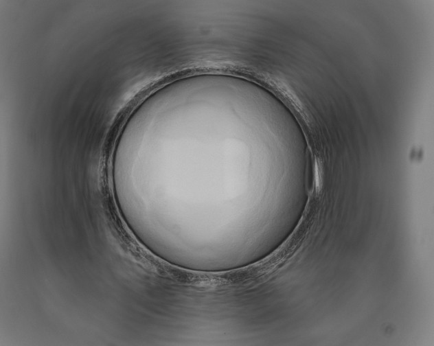 X0000090610579200707311224