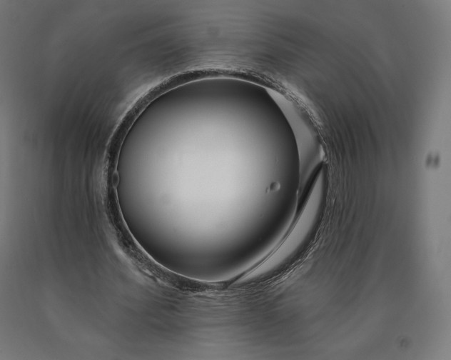 X0000090610580200707311224