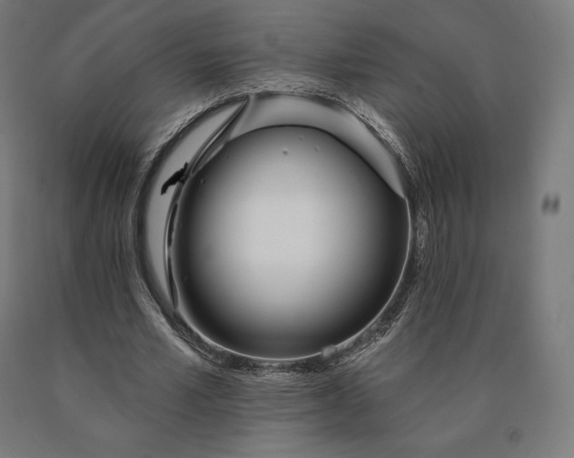 X0000090610581200707311224