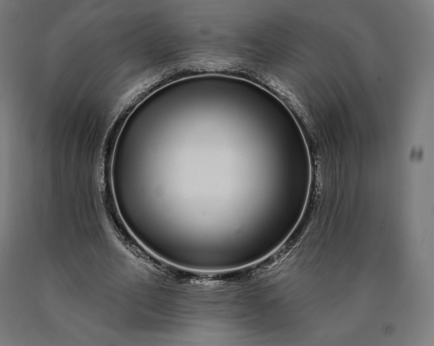 X0000090610582200707311224