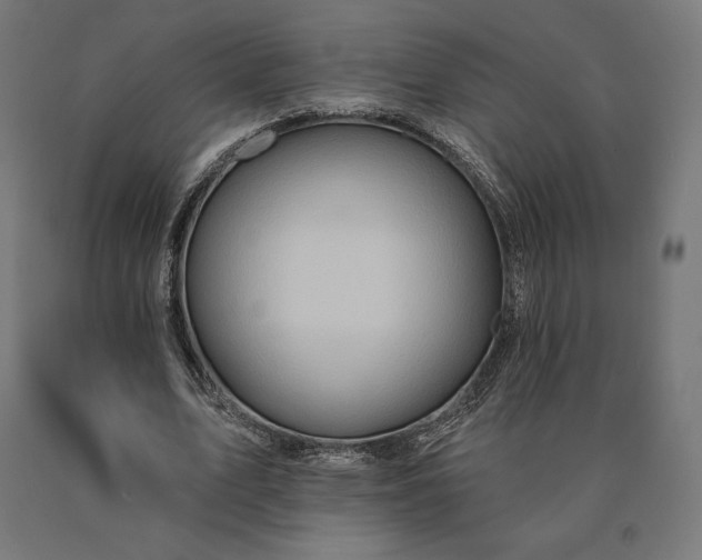 X0000090610583200707311224