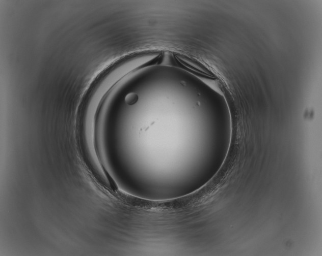 X0000090610584200707311224