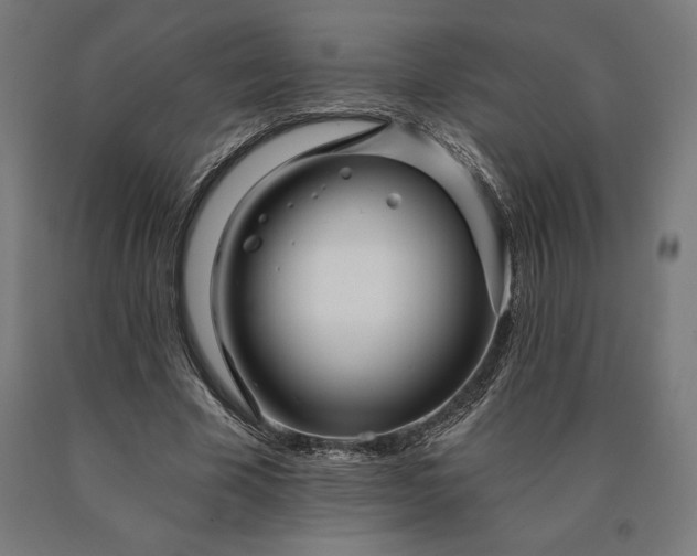 X0000090610585200707311224