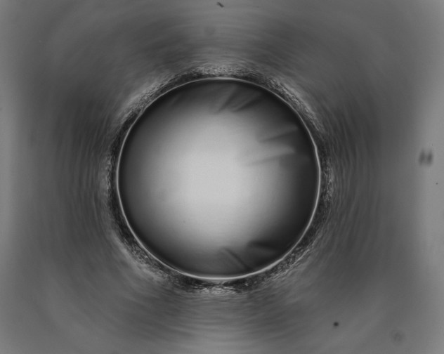 X0000090610586200707311224