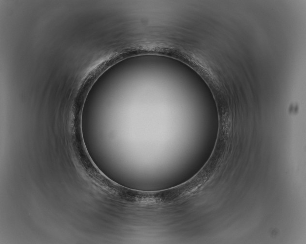 X0000090610587200707311224