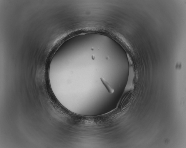 X0000090610588200707311224