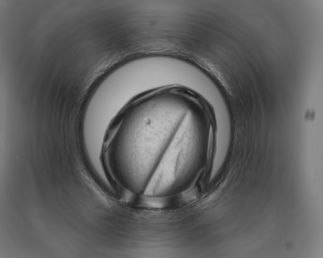 X0000090610589200707311224