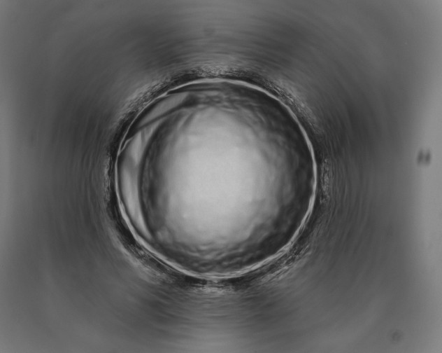 X0000090610590200707311224