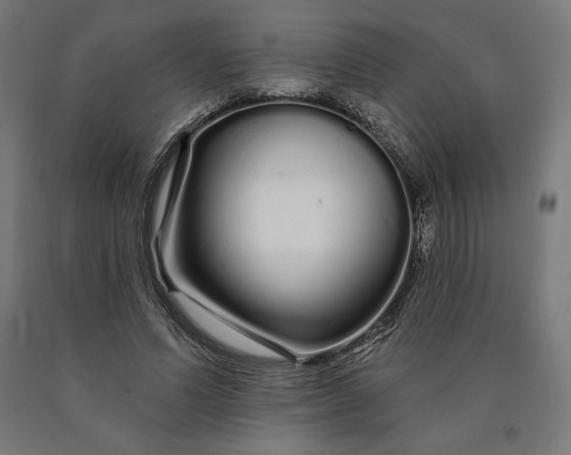 X0000090610591200707311224