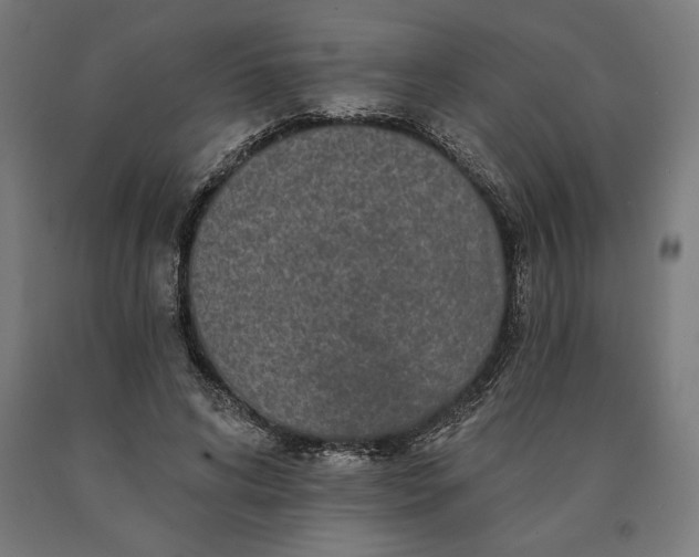 X0000090610592200707311224