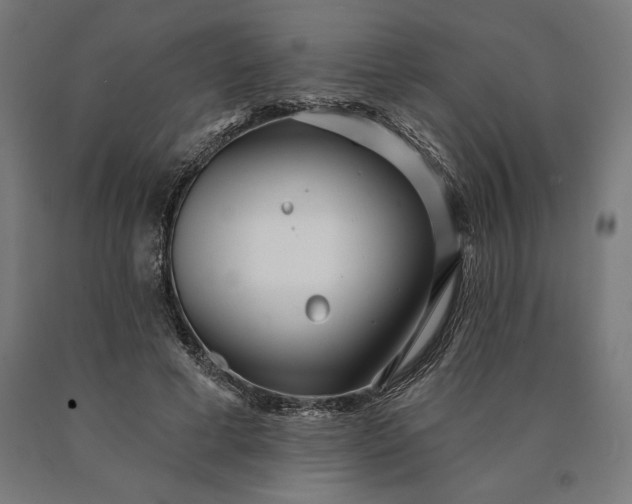 X0000090610593200707311224