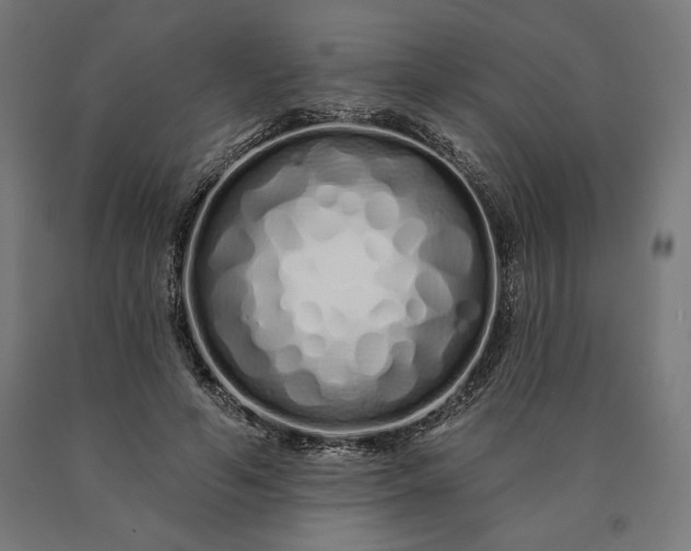 X0000090610594200707311224